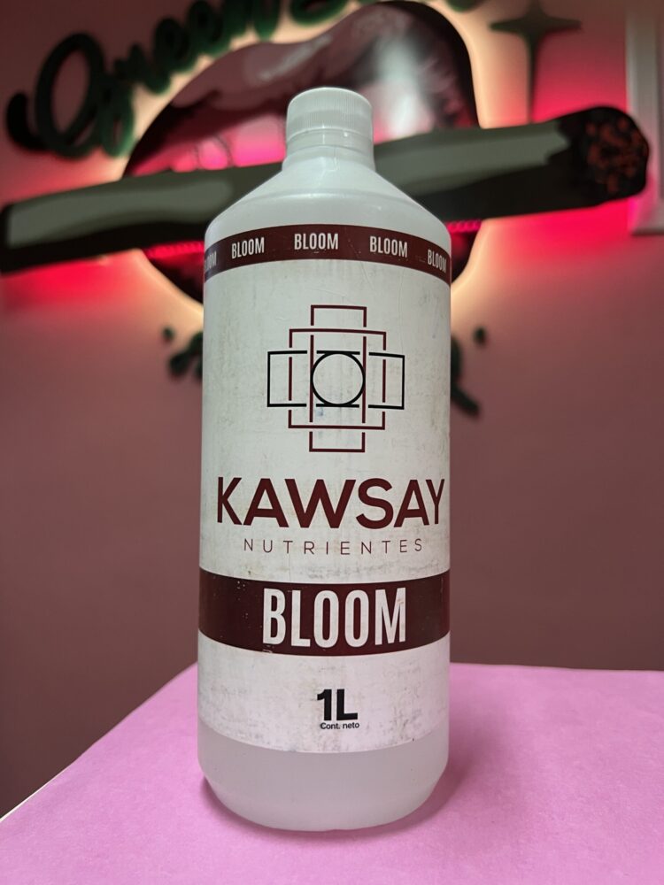 Kasway Bloom 1L