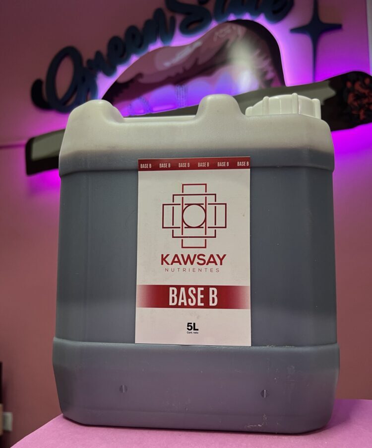 Kawsay Base B 5L